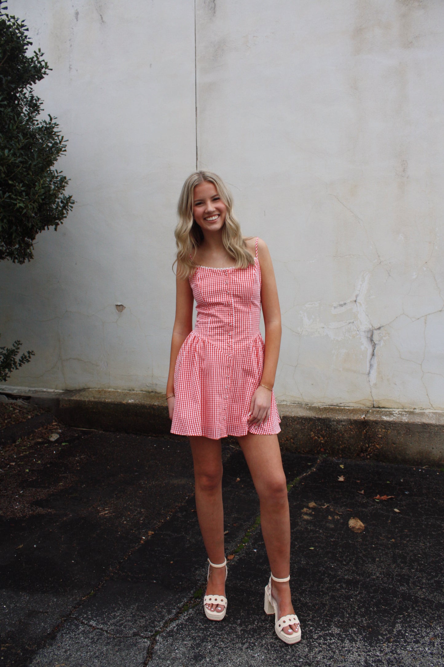 Gingham Lace Trim Mini Dress