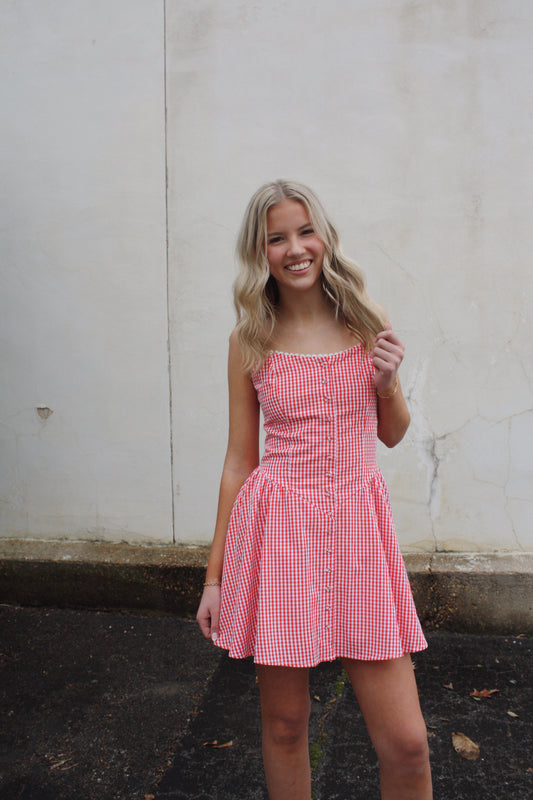 Gingham Lace Trim Mini Dress