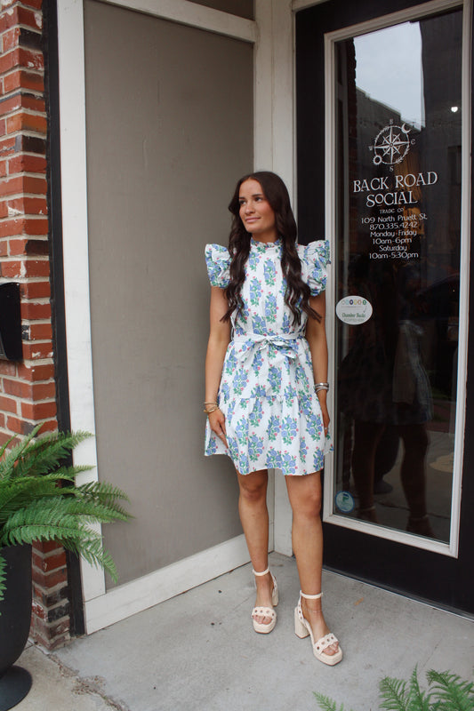 Floral Pleated Bodice Ruffle Sleeve Mini Dress