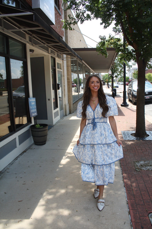 Vintage Horse Toile Printed Midi Dress