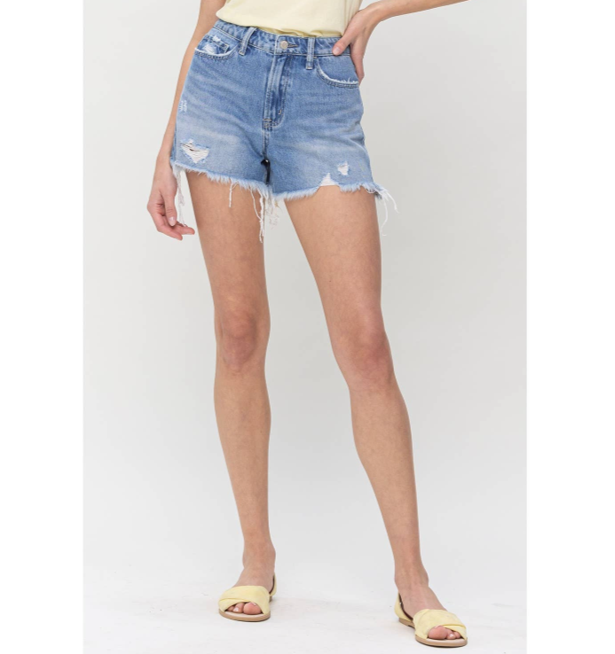 Astounded High Rise Shorts