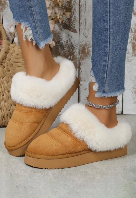 chestnut platform